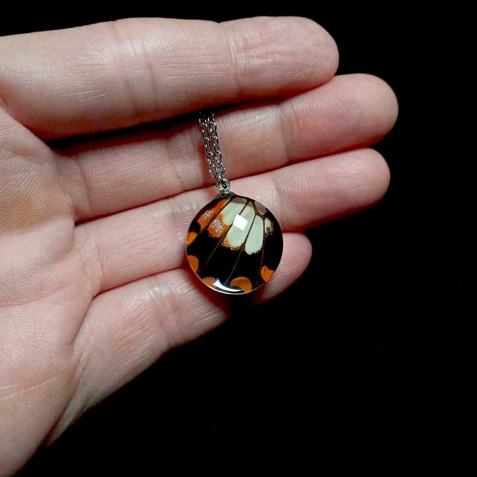 papilio polytes female butterfly wing necklace on hand