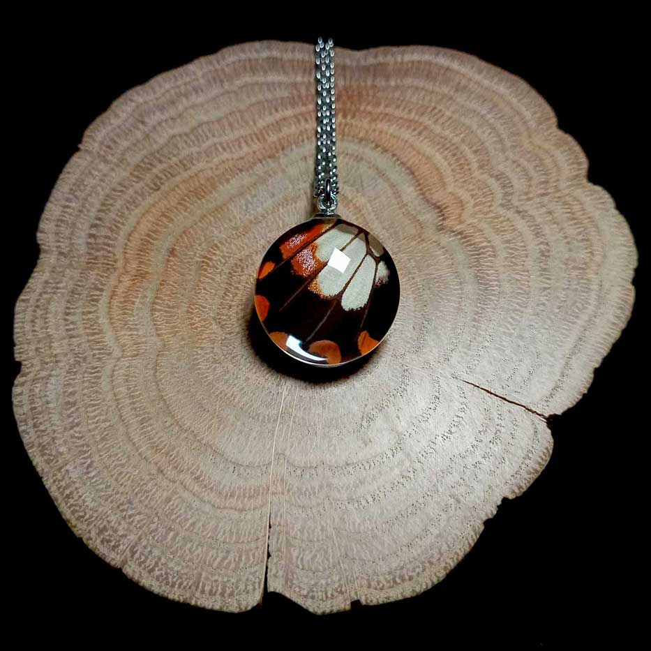 papilio polytes female real butterfly wing necklace