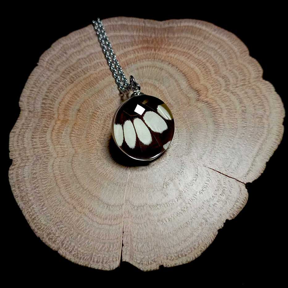 papilio polytes male glass lens butterfly wing necklace