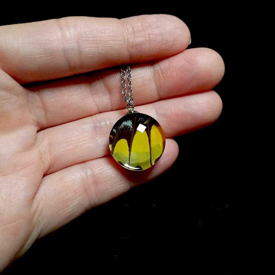 Collana reale con ala di farfalla Papilio thoas mostrata sulla mano con ciondolo ala gialla e nera della farfalla coda di rondine reale