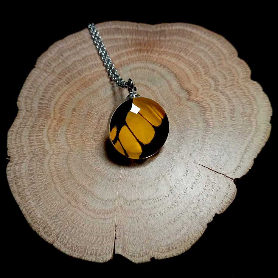 Collana con ala di farfalla Papilio thoas con lente in vetro rotonda che mostra ala gialla e nera della farfalla coda di rondine reale