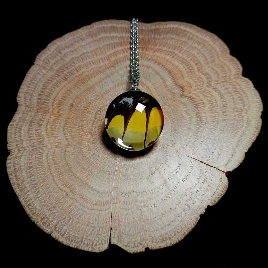 Collana reale con ala di farfalla Papilio thoas con ala gialla e nera della farfalla coda di rondine reale conservata sotto lente in vetro, gioiello fatto a mano