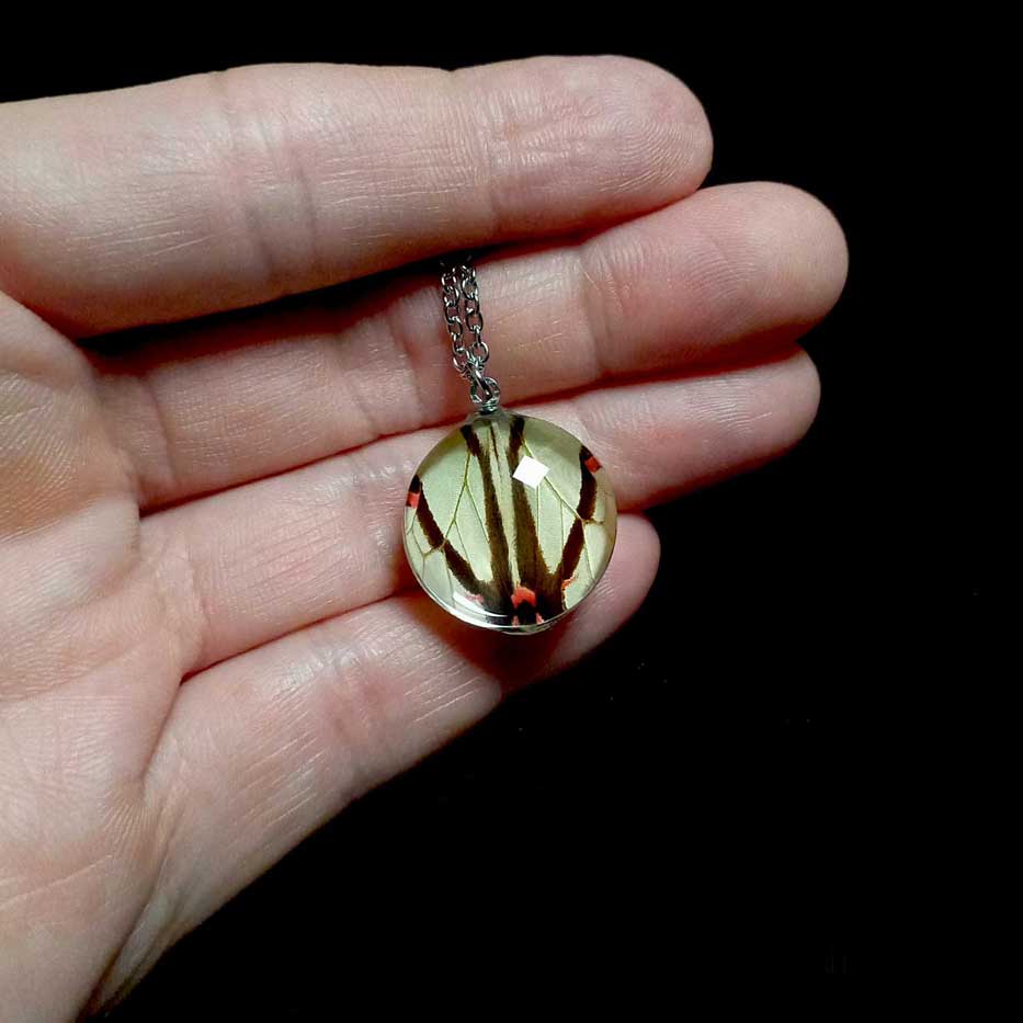 pathysa agetes butterfly wing necklace on hand