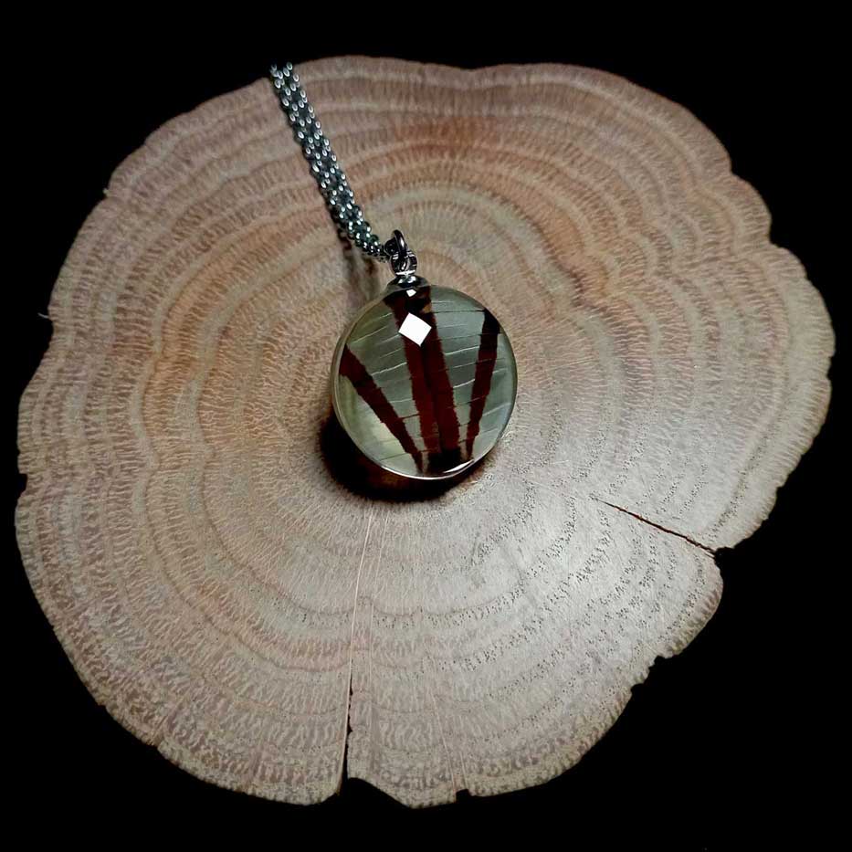 pathysa agetes glass lens butterfly wing necklace