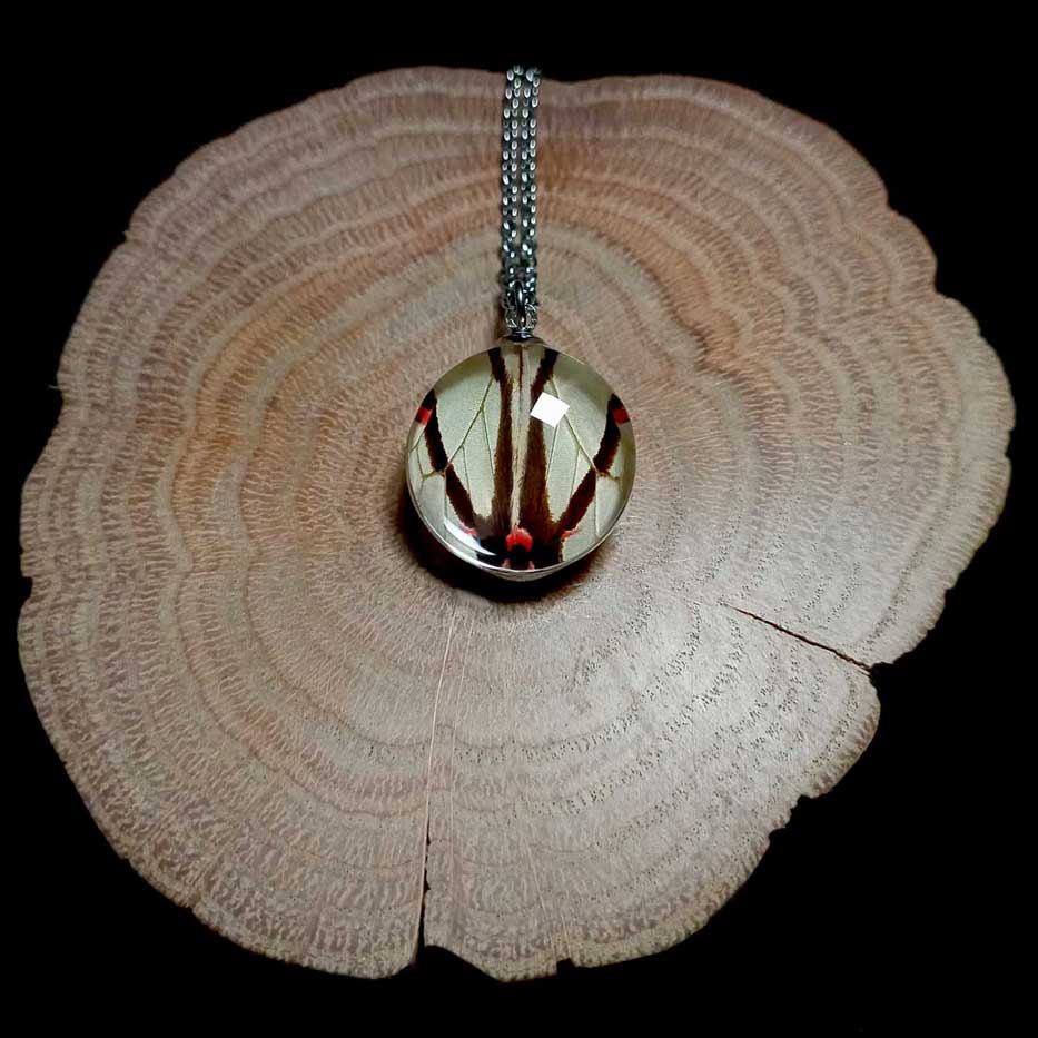 pathysa agetes real butterfly wing necklace