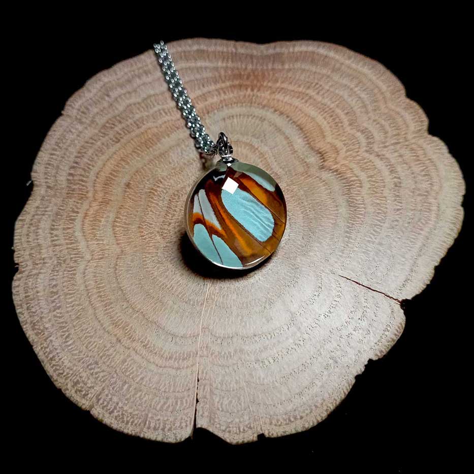 siproeta stelenes glass lens butterfly wing necklace