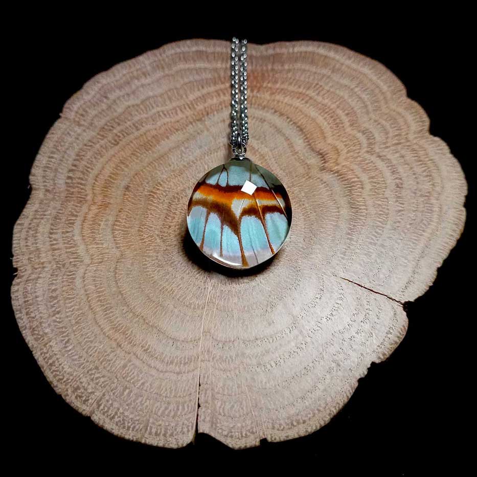 siproeta stelenes real butterfly wing necklace