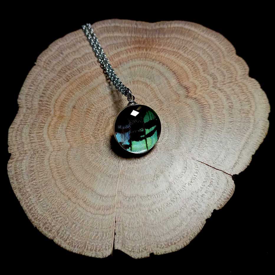 Collana con ala di falena Urania leilus con lente rotonda in vetro che mostra un’ala iridescente verde di falena diurna